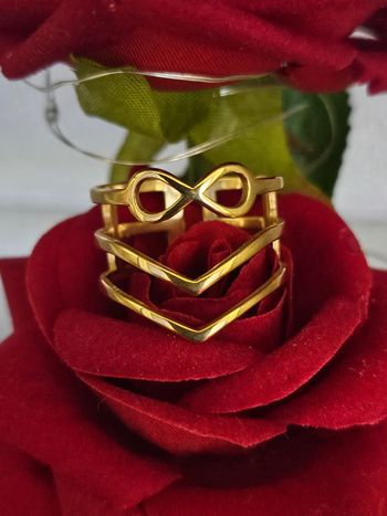 Bague double pointe et infini en acier inoxydable