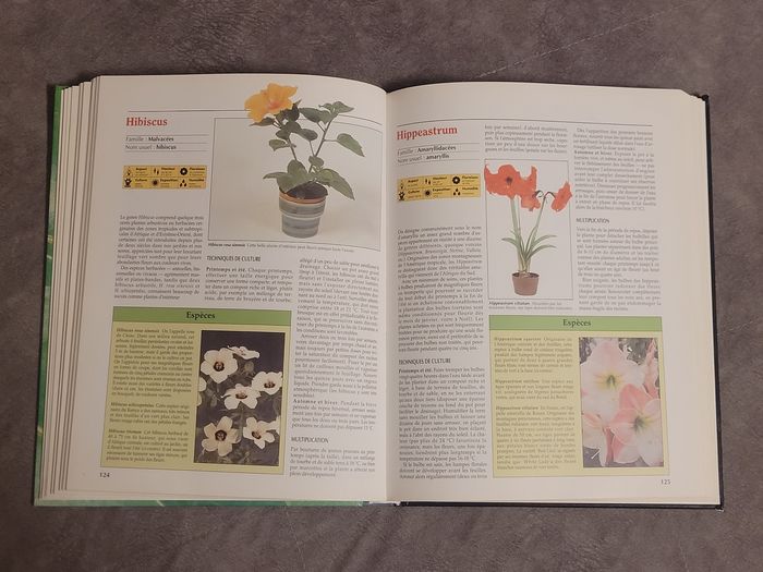 Atlas pratique des plantes d'intérieur - photo numéro 4