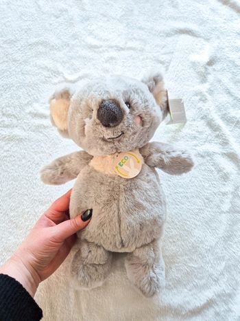 Peluche Koala neuve 
Gipsy toys