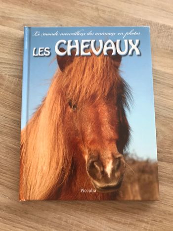 Les chevaux
