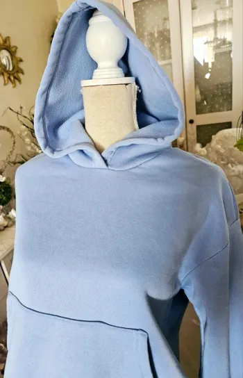 Sweat bleu ciel à capuche Shein Taille 36 ( plutôt M/L) Neuf