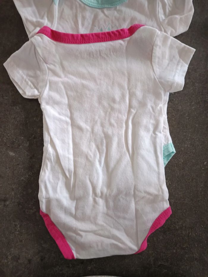 Lot bodies in extenso 6 mois - photo numéro 3