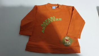 Sweat winnie disney 12 mois