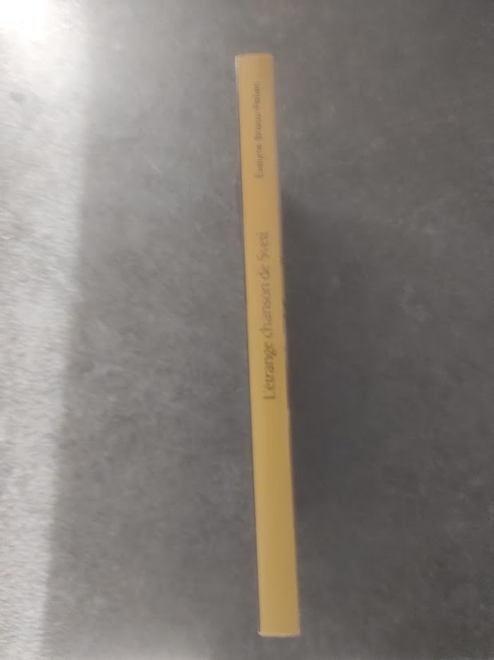 L'étrange chanson de Sveti Evelyne Brisou-Pellen Castor Poche Flammarion 2010 - photo numéro 2