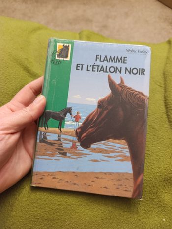Flamme et l’Étalon Noir - Walter Farley (Bibliothèque Verte)