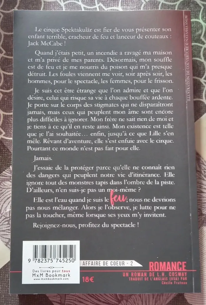 Livre cœurs enflammés - photo numéro 2