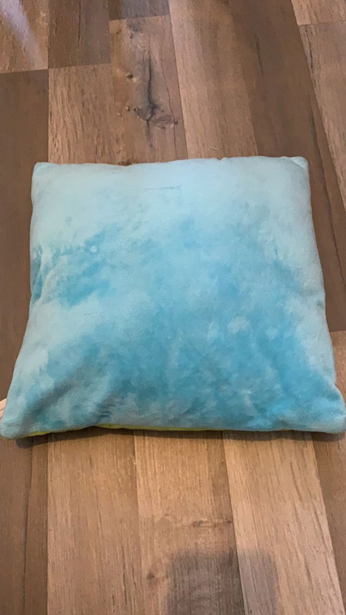 Coussin Tigrou - photo numéro 2