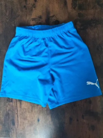 Deux short puma