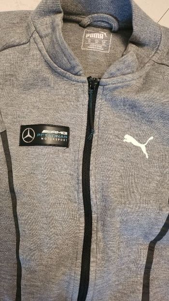 Veste puma Mercedes amg