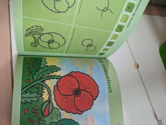 Livre d'apprentissage dessin - photo numéro 4