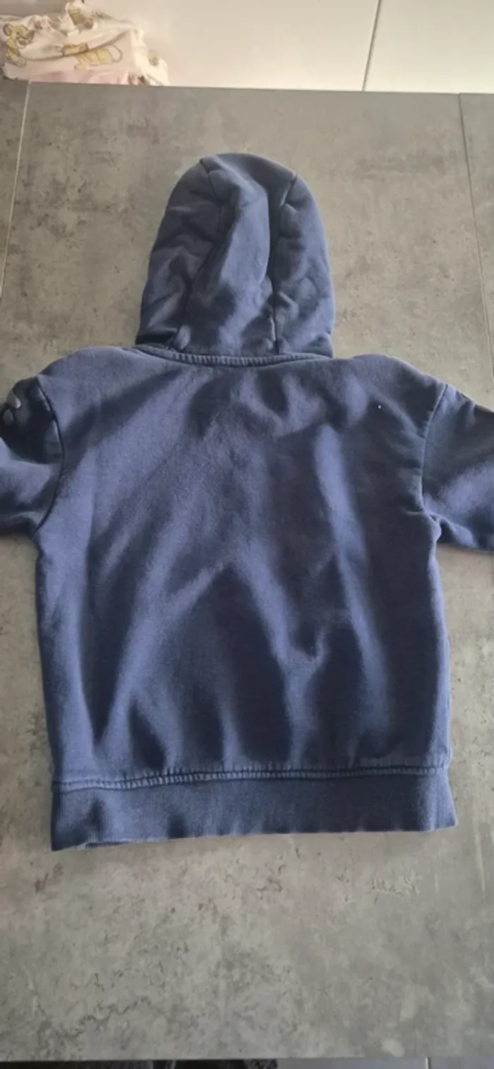 Pull a capuche Dinosaures garcon - photo numéro 3