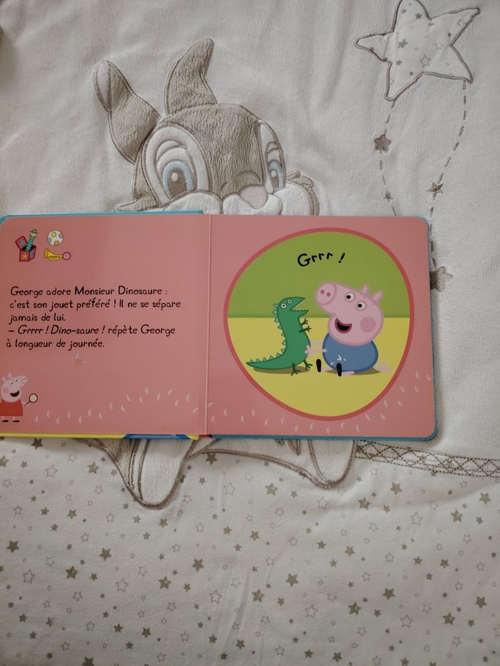 Livre perdu son doudou - photo numéro 2