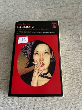 Millénium tome 2 : La fille qui rêvait d’un bidon d’essence et d’une allumette – Stieg Larsson