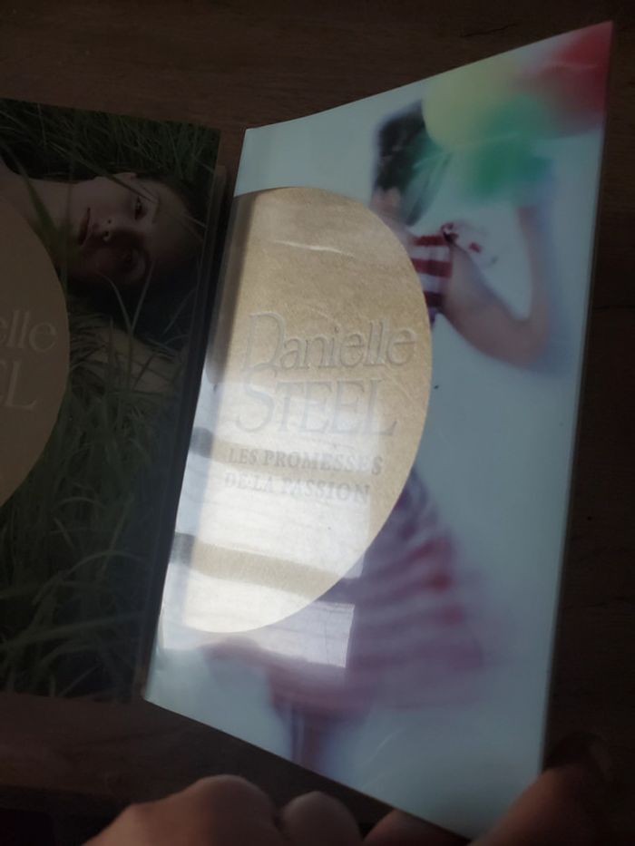 Lot de 2 livres de Danielle Steel - photo numéro 2