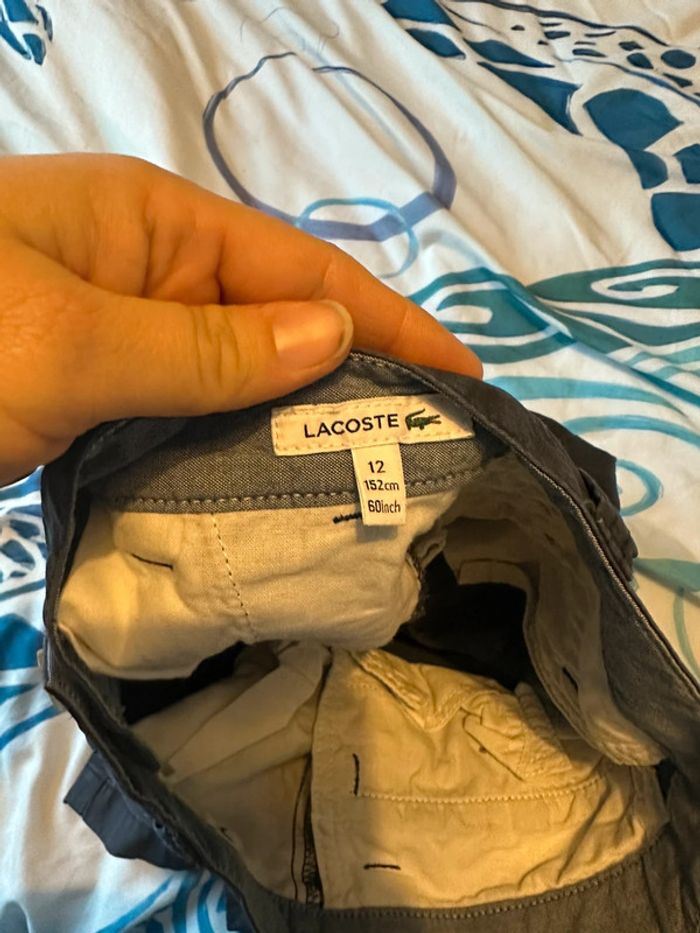 Pantalon Chino Lacoste - photo numéro 5