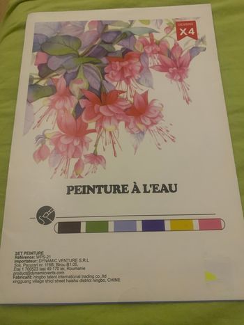Toile peinture à l’eau avec accessoire