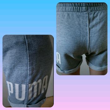 Short puma