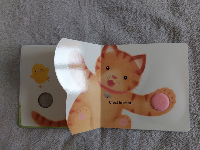 Livre enfant cartonné "Piou Piou qui est là" Bayard Jeunesse avec matières à toucher - photo numéro 8
