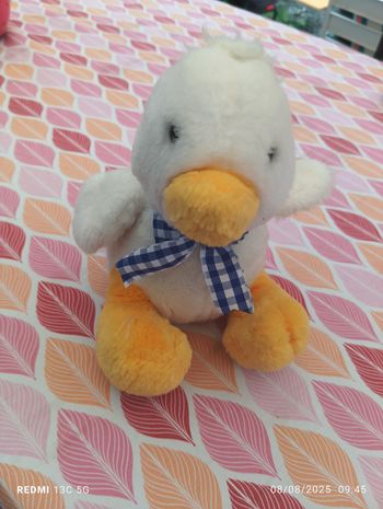 Peluche canard Noukie's
