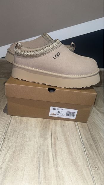 Ugg tazz