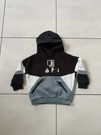 Pull à capuche Liberto 