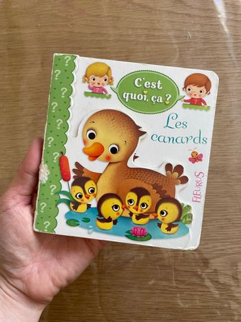 Livre C’est quoi ça ? Les canards 