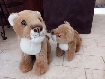 Lot 2 peluches lion