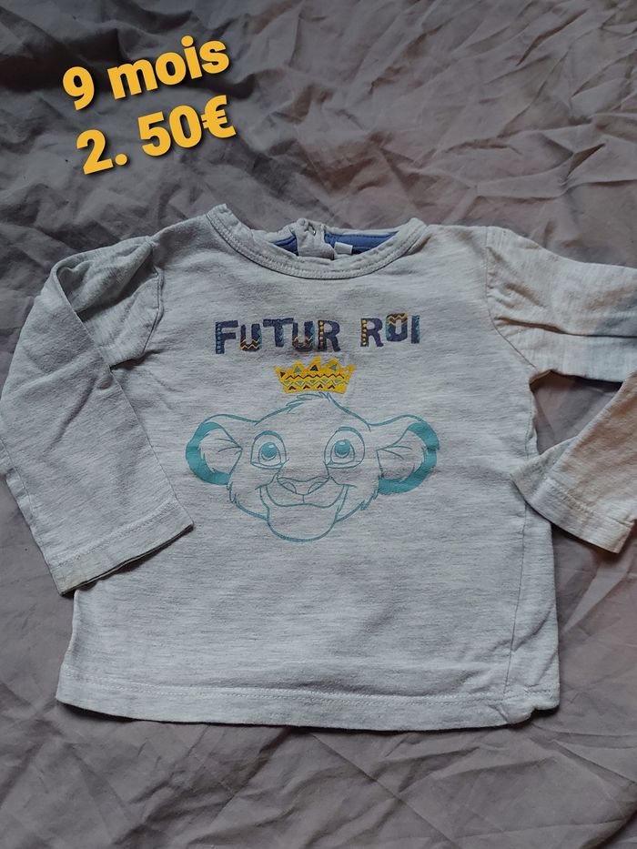 Haut simba roi lion