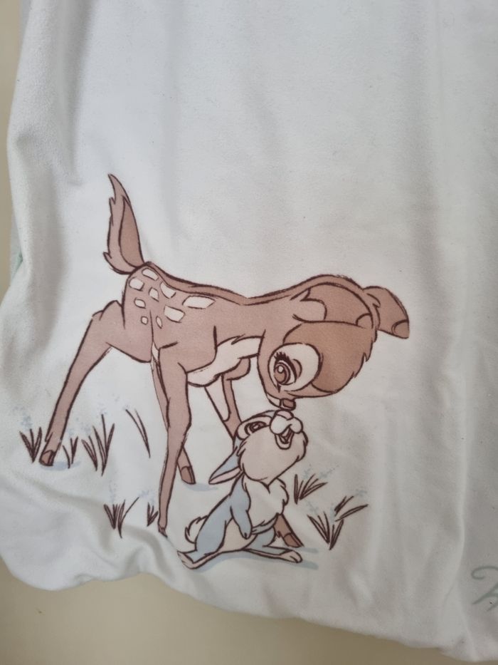 Plaid disney - photo numéro 2