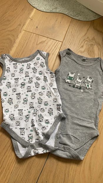 Lot 2 bodies