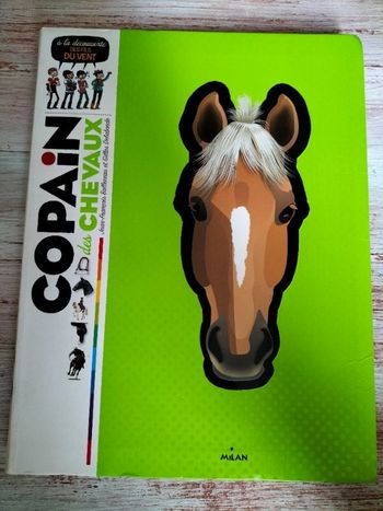 Livre enfant poneys chevaux  copains des chevaux
