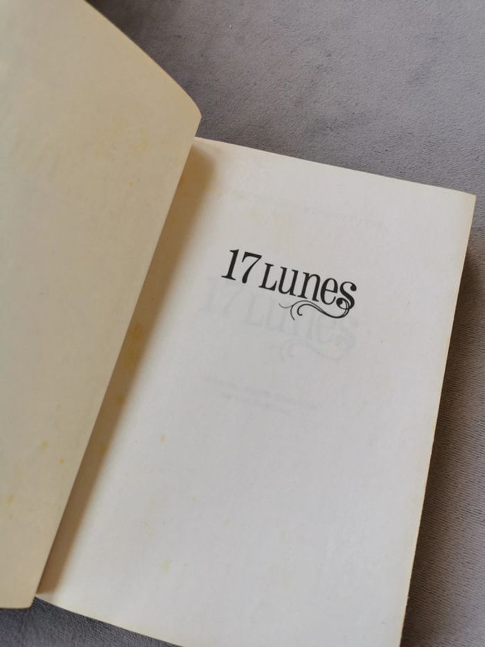 Livre 17 lunes - photo numéro 7
