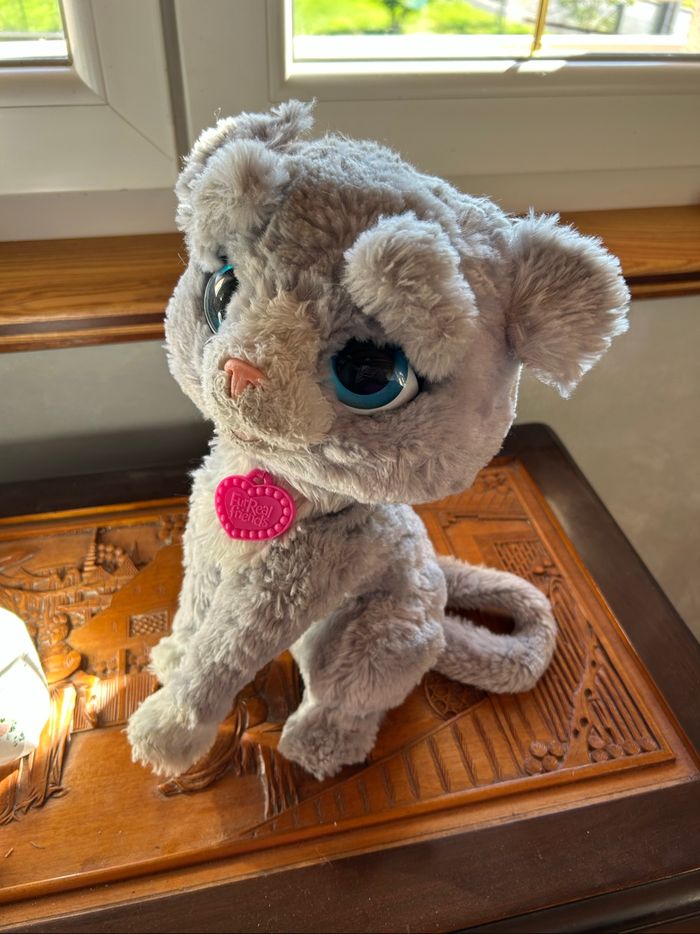 Chat fur réal  friends - photo numéro 2