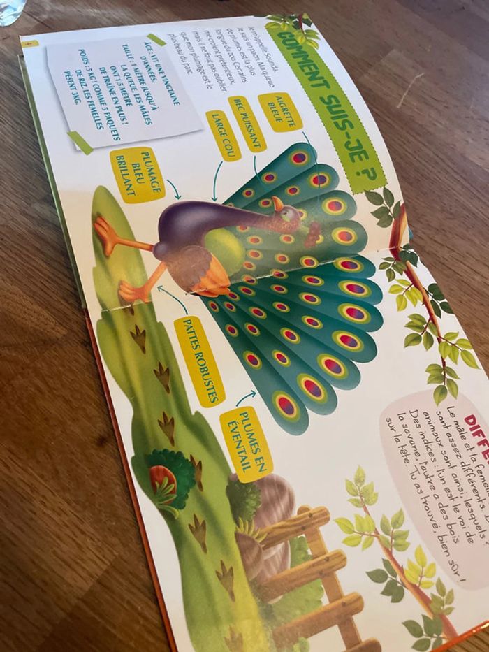 Livre collection Les animaux du zoo Sounda le paon - photo numéro 8