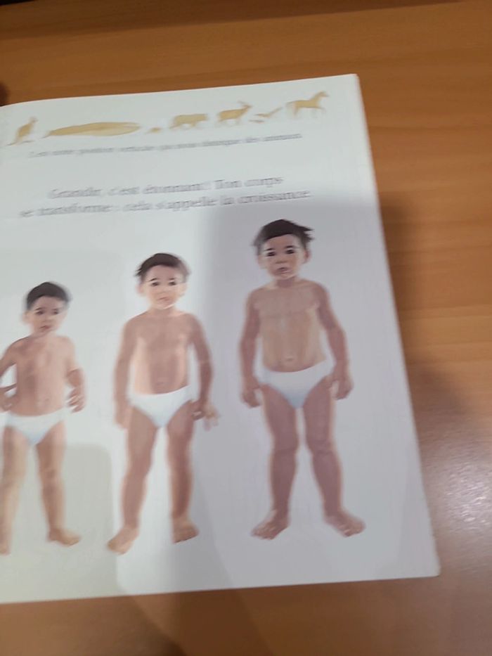 Cache cache avec corps humain - photo numéro 9