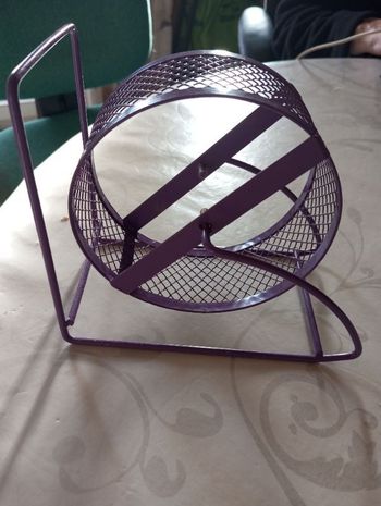 Roue hamster en acier