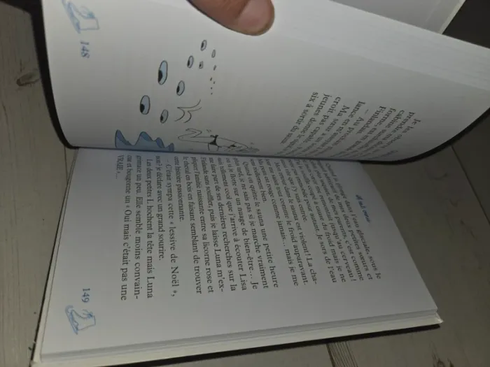 Quatre sœurs et un hiver de rêve - photo numéro 4