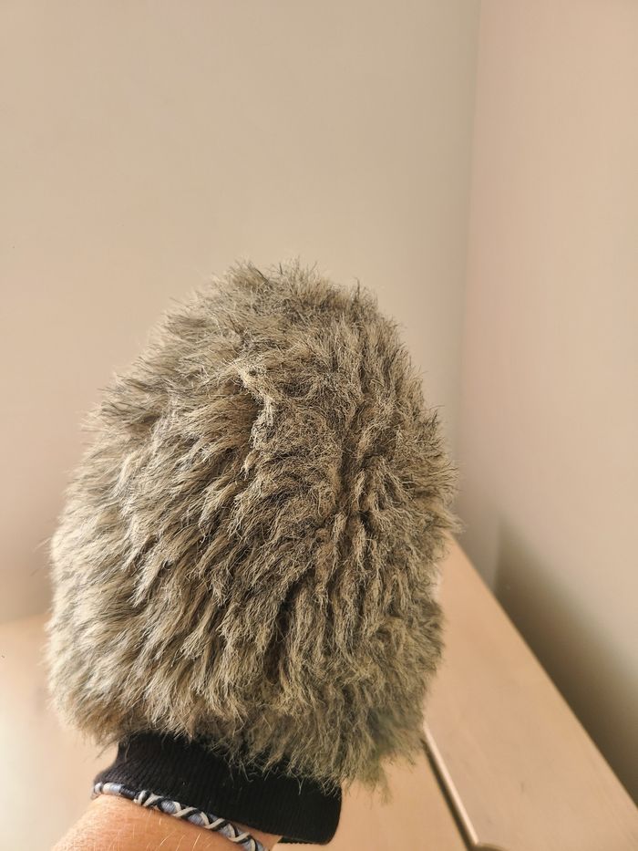 Hérisson - photo numéro 2