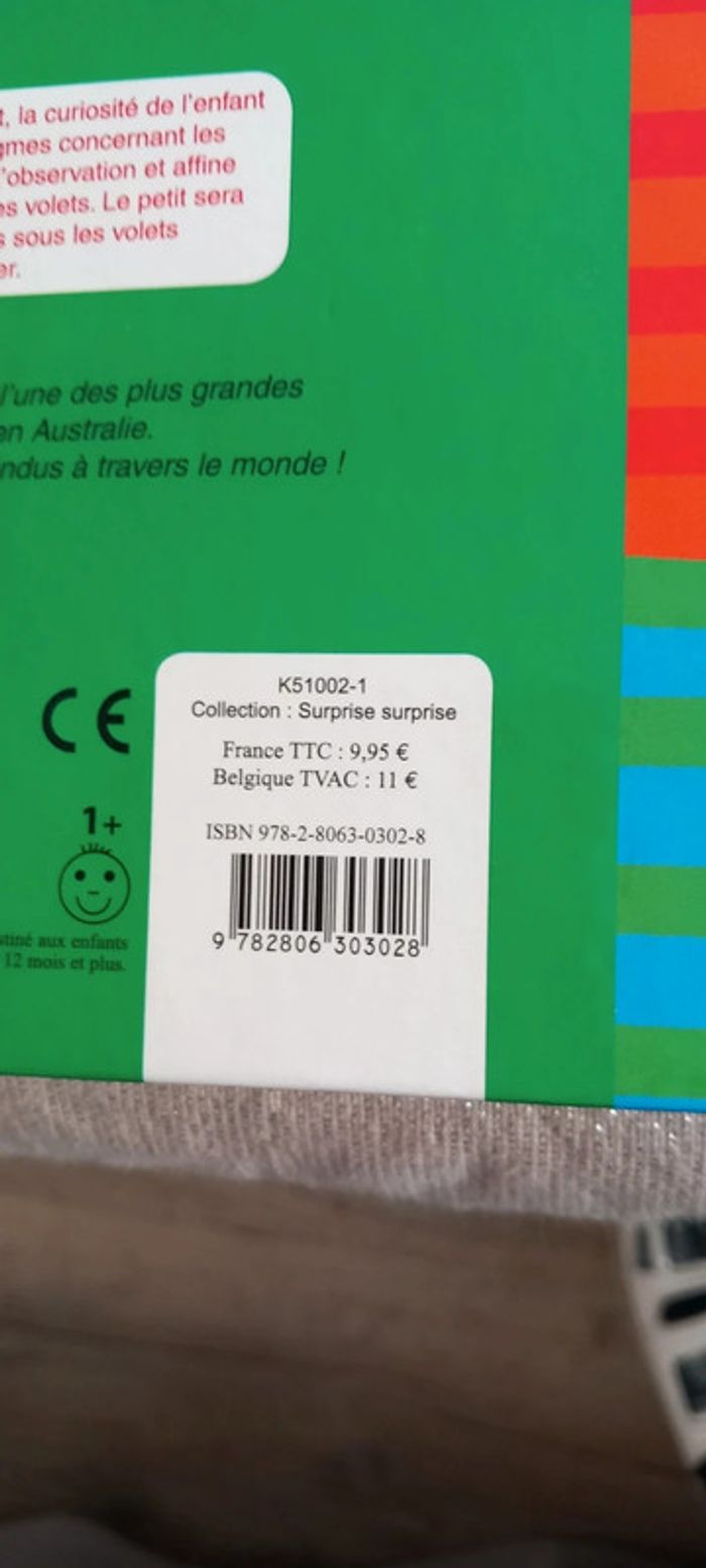 Surprise surprise Qui es tu ? - photo numéro 4