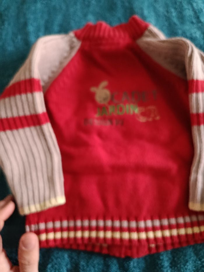 Gilet zippe - photo numéro 2