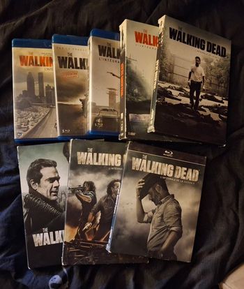 Série walking dead saison 1 à 9