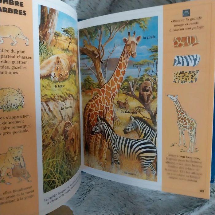 Petit mega des animaux - photo numéro 2