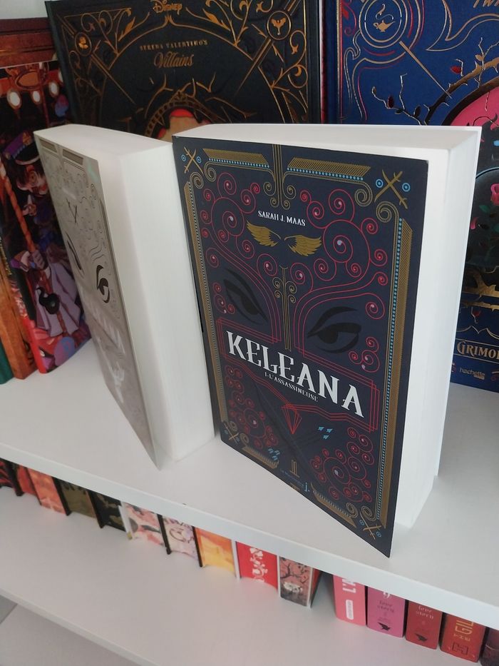 Romans Keleana tomes 0 et 1 La Lame de l'Assassineuse- Sarah J. Maas La Martinière - photo numéro 4