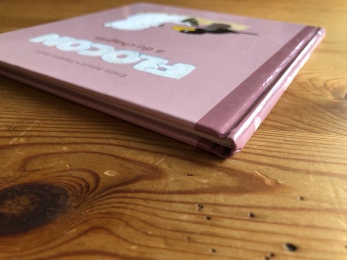 Livre Flocon a du chagrin - photo numéro 7