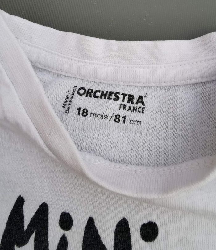 Lot de 2 tee-shirt ML 18 mois garçon orchestra - photo numéro 4