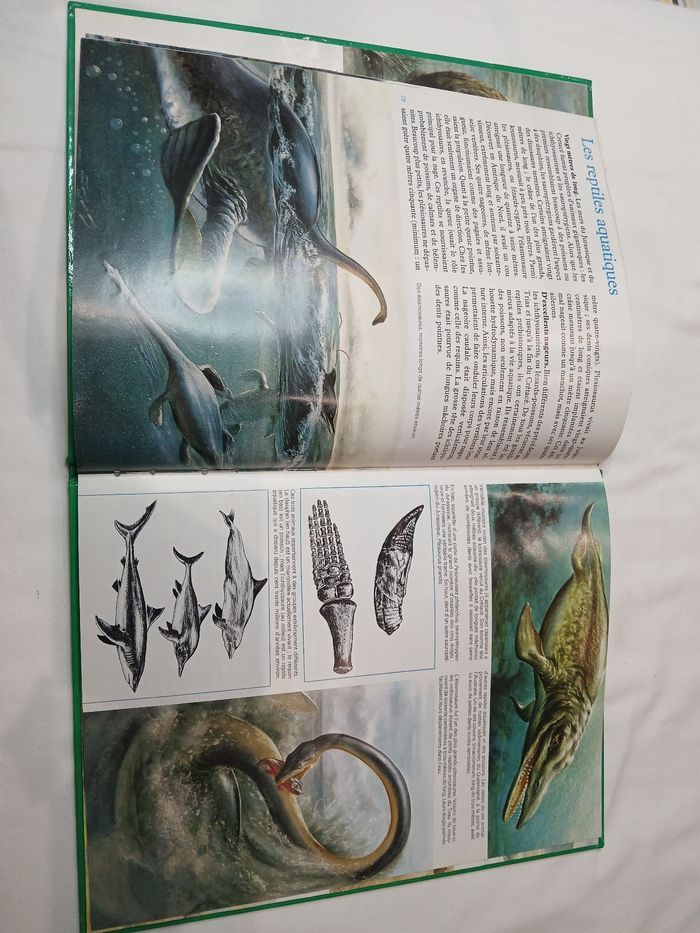 Livre La Préhistoire - photo numéro 4