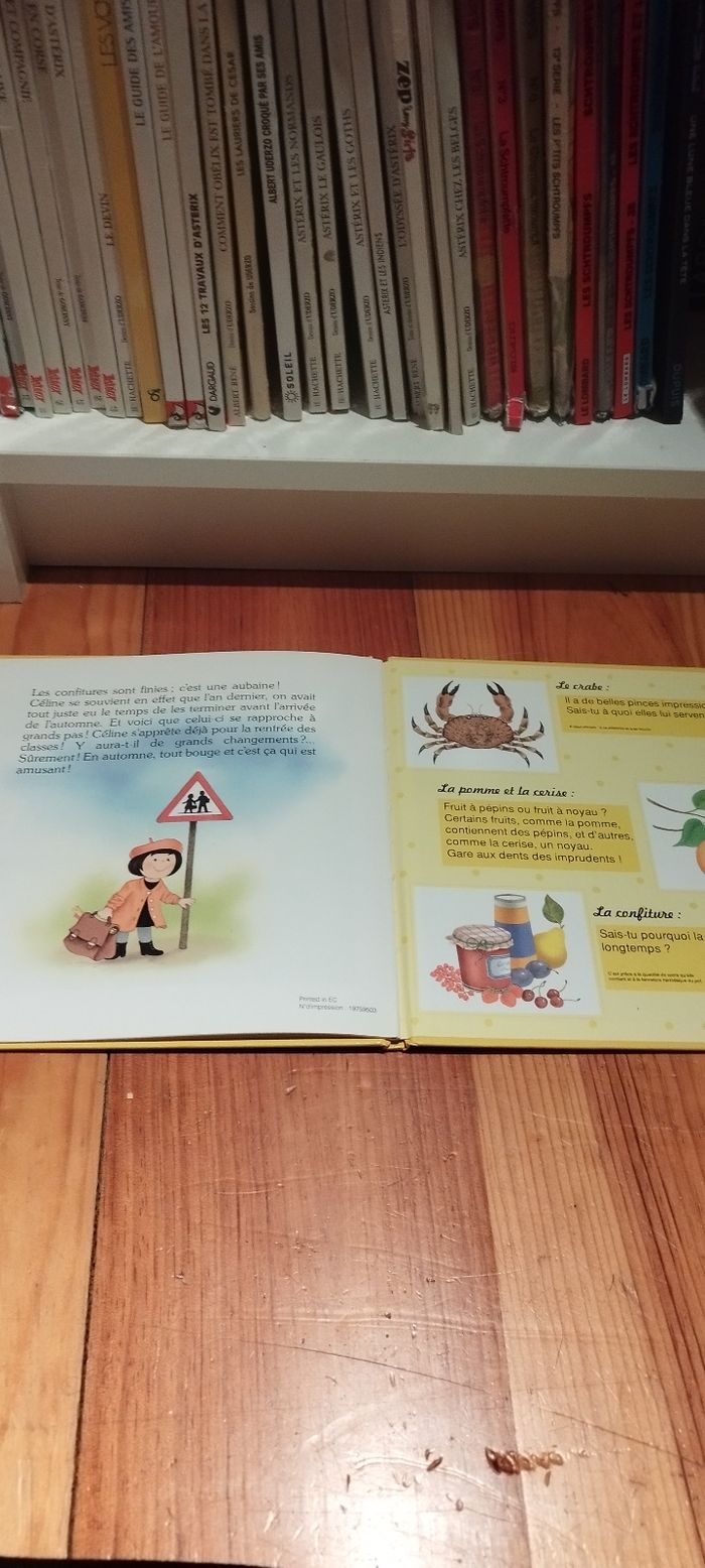 Livre vintage Céline en été - photo numéro 3