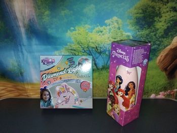 Lot gourde isotherme et diamond Painting neuf