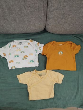 Lot de 3 bodies manches courtes