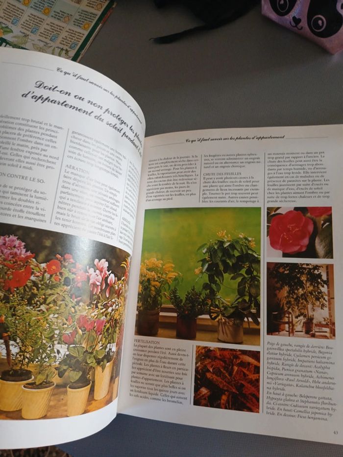 🍍 Livre Les plantes d intérieur - photo numéro 12